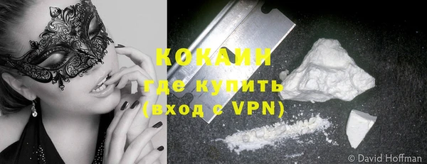 индика Алексеевка