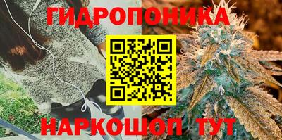 2c-b Тулун